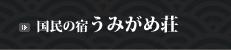 うみがめ荘株式会社